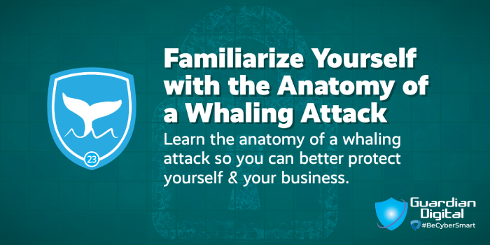 Tip - Familiarize Yourself with the Anatomy of a Whaling Attack